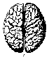 brain07.gif (952 bytes)