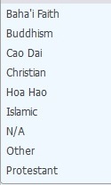 Choices for religion on Vietnam visa application