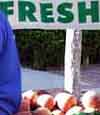 Man buying peaches at the Los Altos Farmer's Market