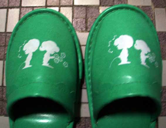 toilet slippers