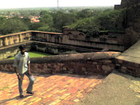 reservoir surfaced with green algae